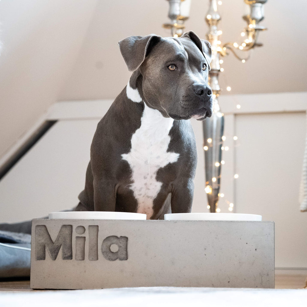 Futterstation Hund PATERA DUO Personalisiert