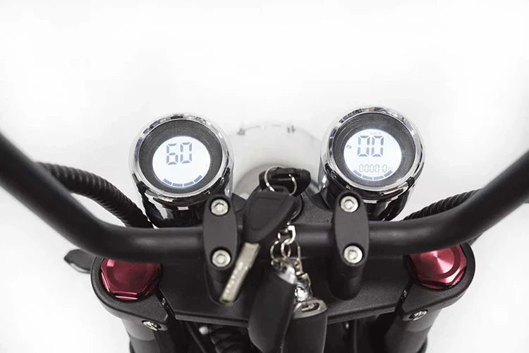 Elektro-Chopper Mangosteen M1 in Mattgrün – 2000W Hochleistungsmotor und Stilvoll